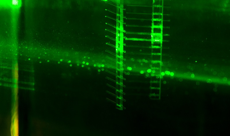 This is alt text for the image This is alt text for the image