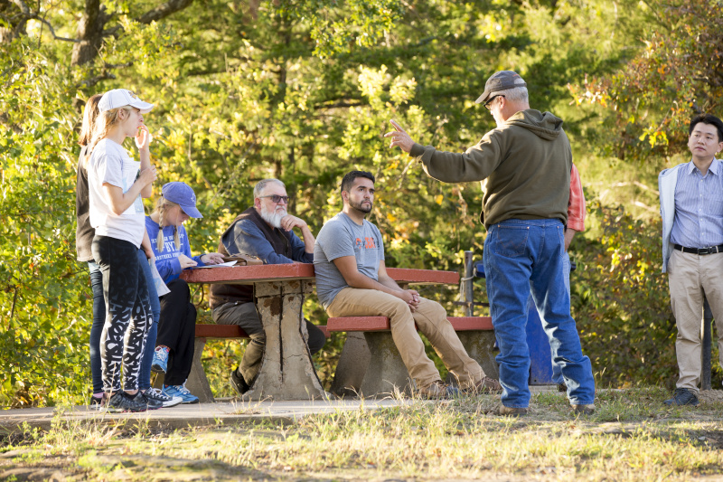 This is alt text for the image This is alt text for the image